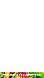 DMB_Portrait_1080x1920_SALAD_2016_03_23_043913.jpg